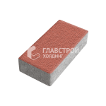Тротуарная плитка Прямоугольник 20х10х4 см, красная на камне
